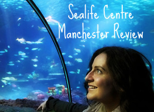 Places to go with kids: sea life manchester