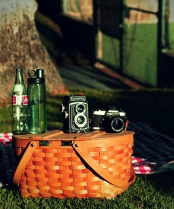 Summer Picnicking: The Essentials!