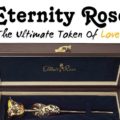 Eternity Rose The Ultimate Token of Love