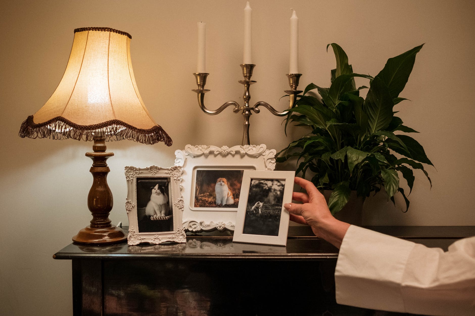 Family Photos & Interior Design: Do They Go Together? - U me and the kids